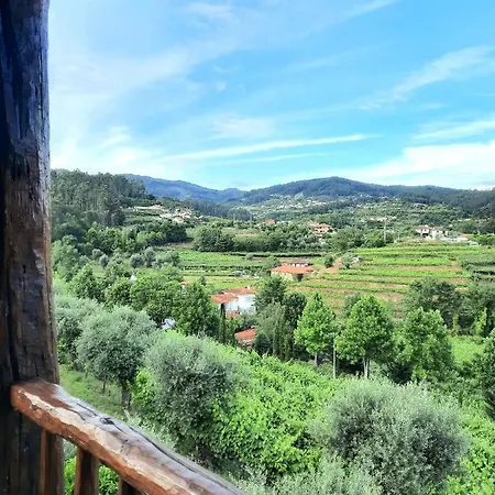 Quintinha D'amelia * Celorico De Basto
